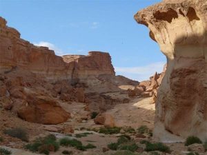 Desierto