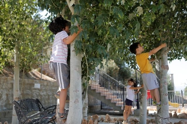 planes con niños en primavera